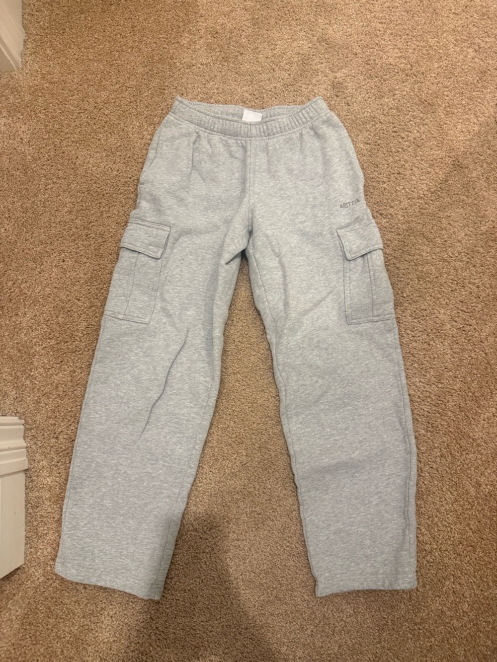 Aritzia cargo sweatpants in grey